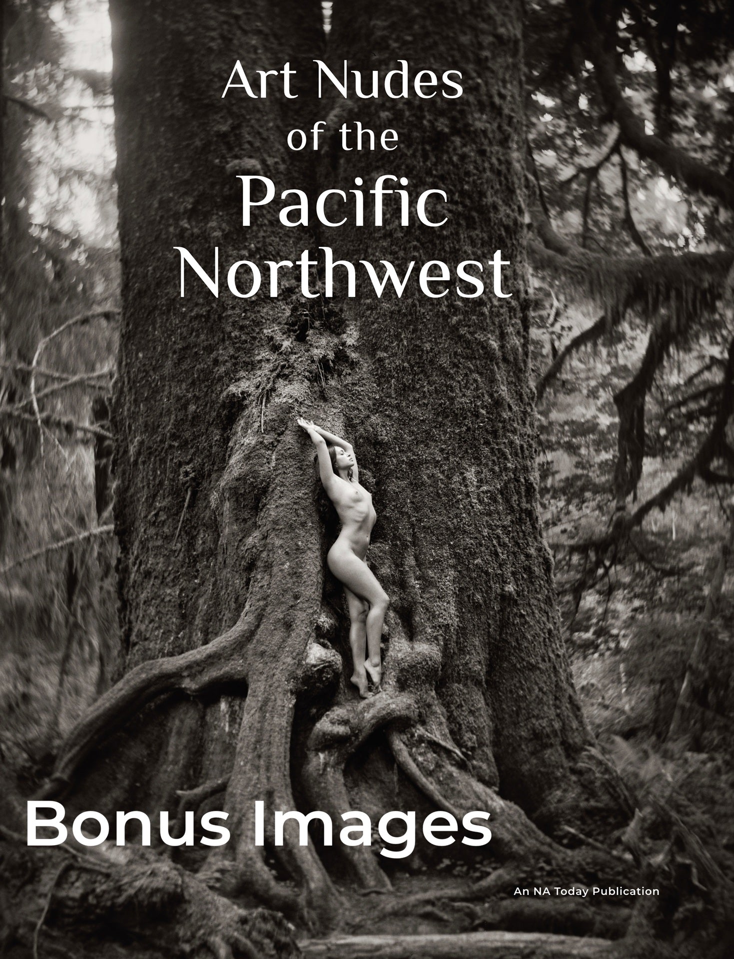 Bonus images from PNW (Ebook)